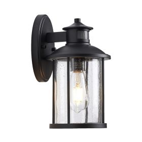 Motion sensor outdoor wall light (Color: Matte Black)